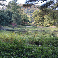 |5662| | Zahrada Takamacu Ritsurin