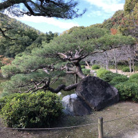 |5668| | Zahrada Takamacu Ritsurin