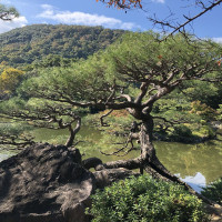 |5670| | Zahrada Takamacu Ritsurin