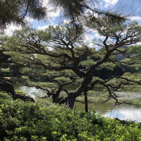 |5671| | Zahrada Takamacu Ritsurin