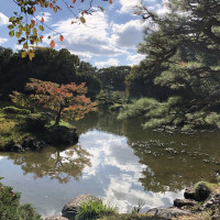 |5676| | Zahrada Takamacu Ritsurin