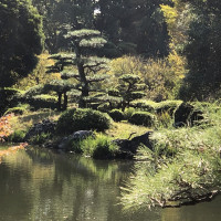 |5677| | Zahrada Takamacu Ritsurin