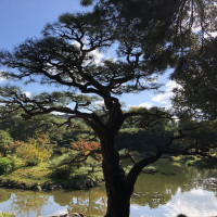 |5678| | Zahrada Takamacu Ritsurin