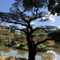 |5679| | Zahrada Takamacu Ritsurin